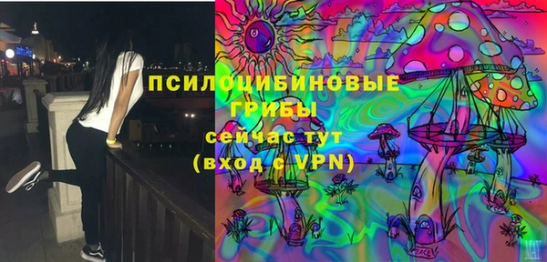 соль ск Абаза