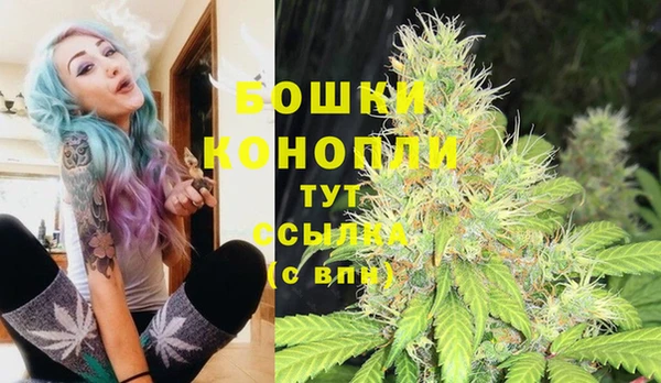 соль ск Абаза