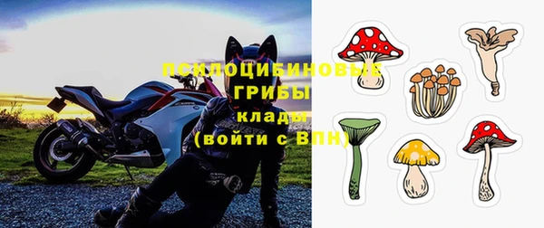 тгк Алзамай