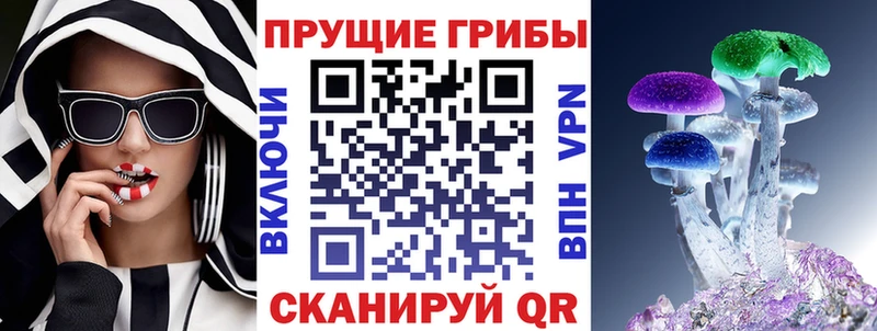 где купить наркотик  Циолковский  KRAKEN   Псилоцибиновые грибы Psilocybe 